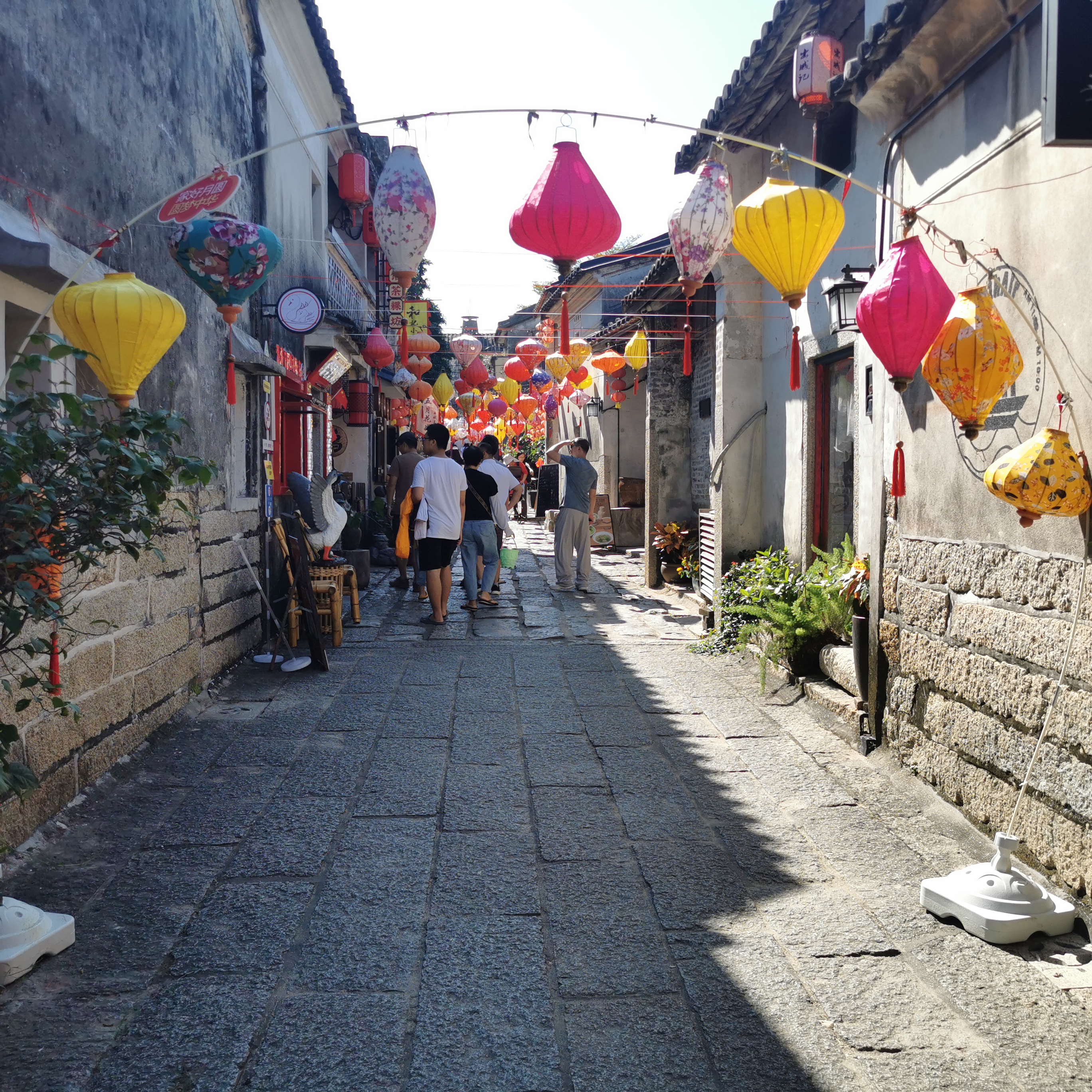 IMG_20231104_135600.jpg