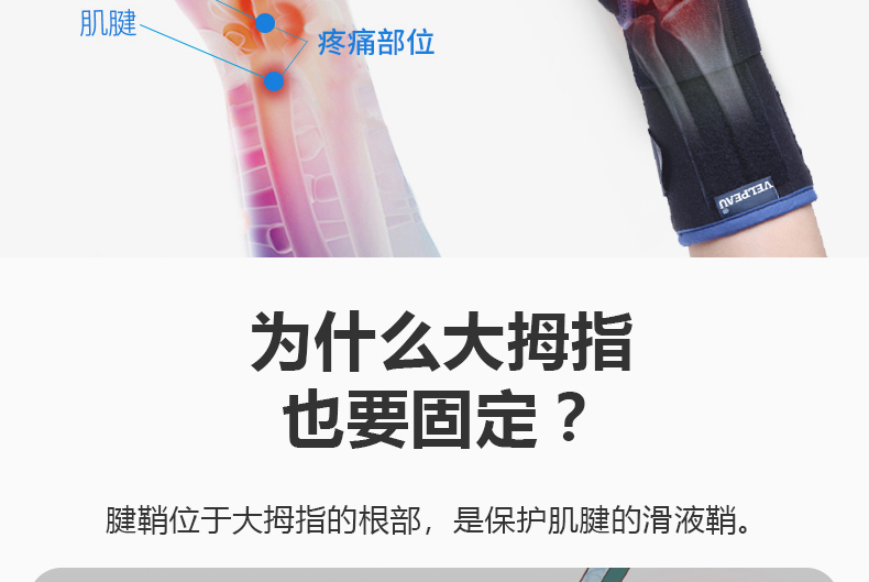 0902详情_09.jpg